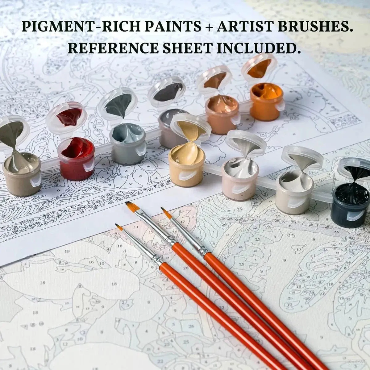 Fruit - Paint by Numbers