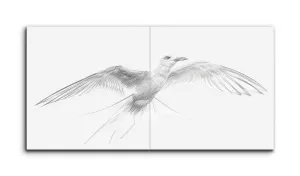 Graceful Flight: Intricate Bird Sketch
