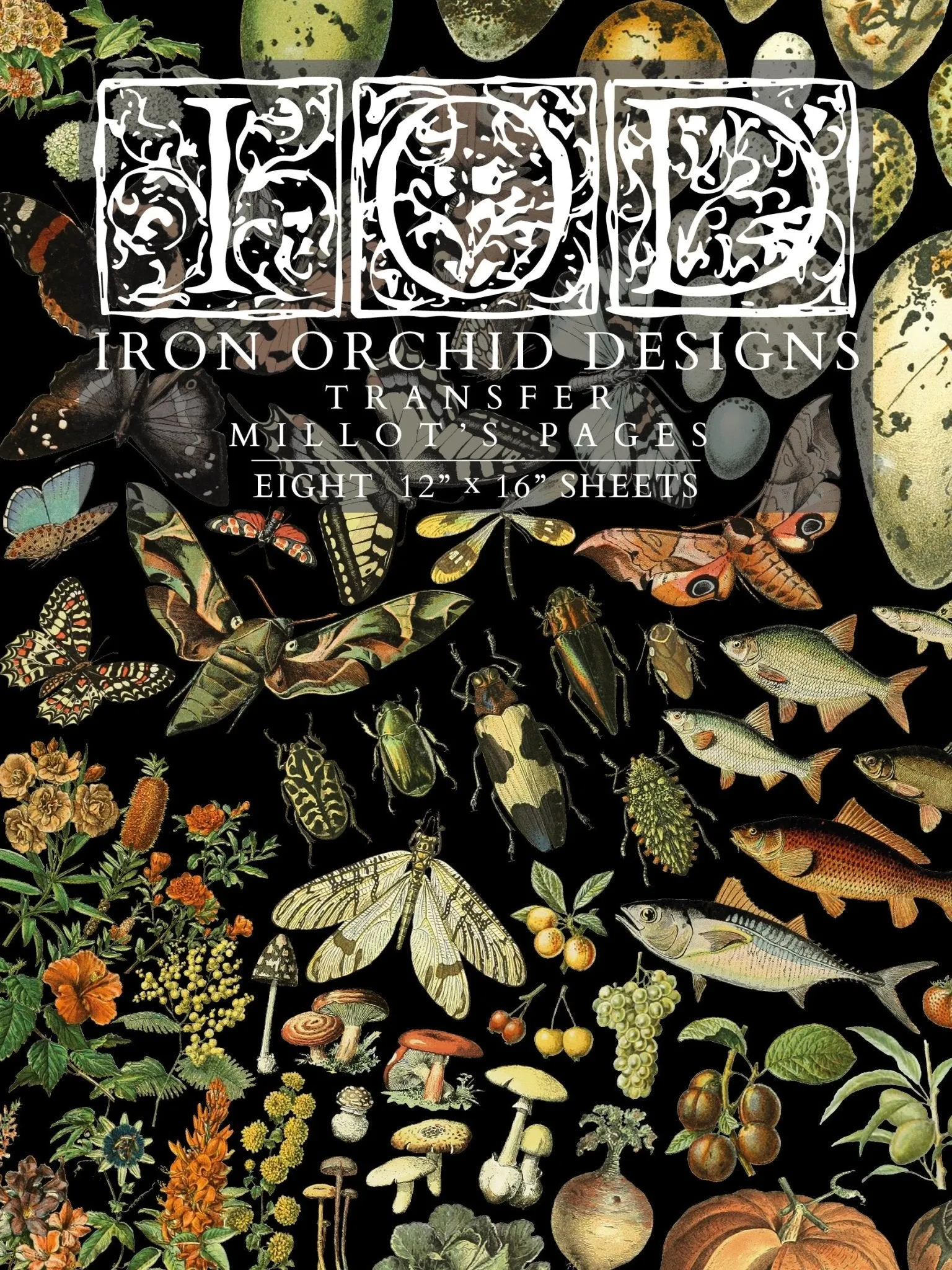 IOD Millot's Pages Decor Transfer - Iron Orchid Designs