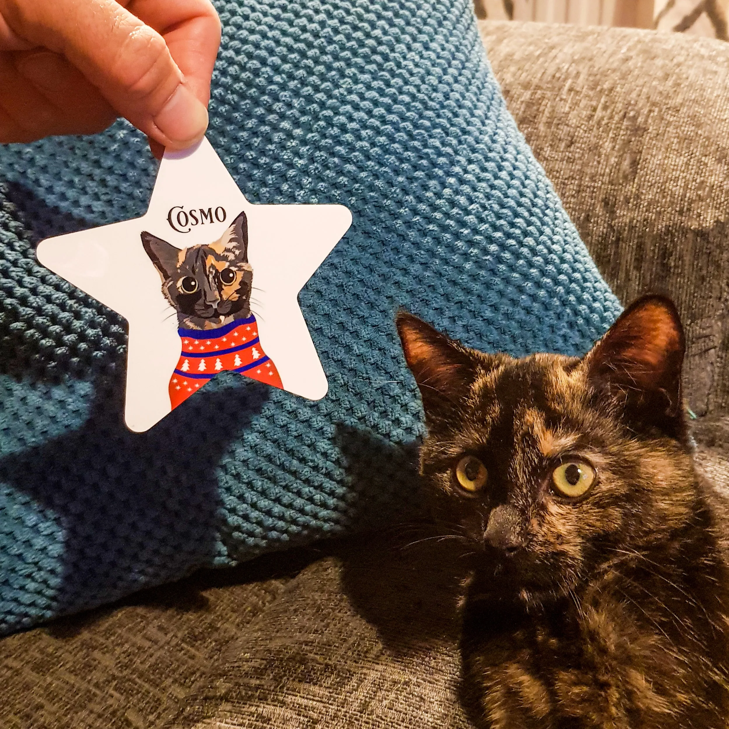 Personalised Cat Chirstmas Jumper Tree Decoration