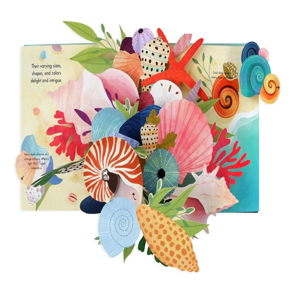 Shells: Summer Pop-Up Book